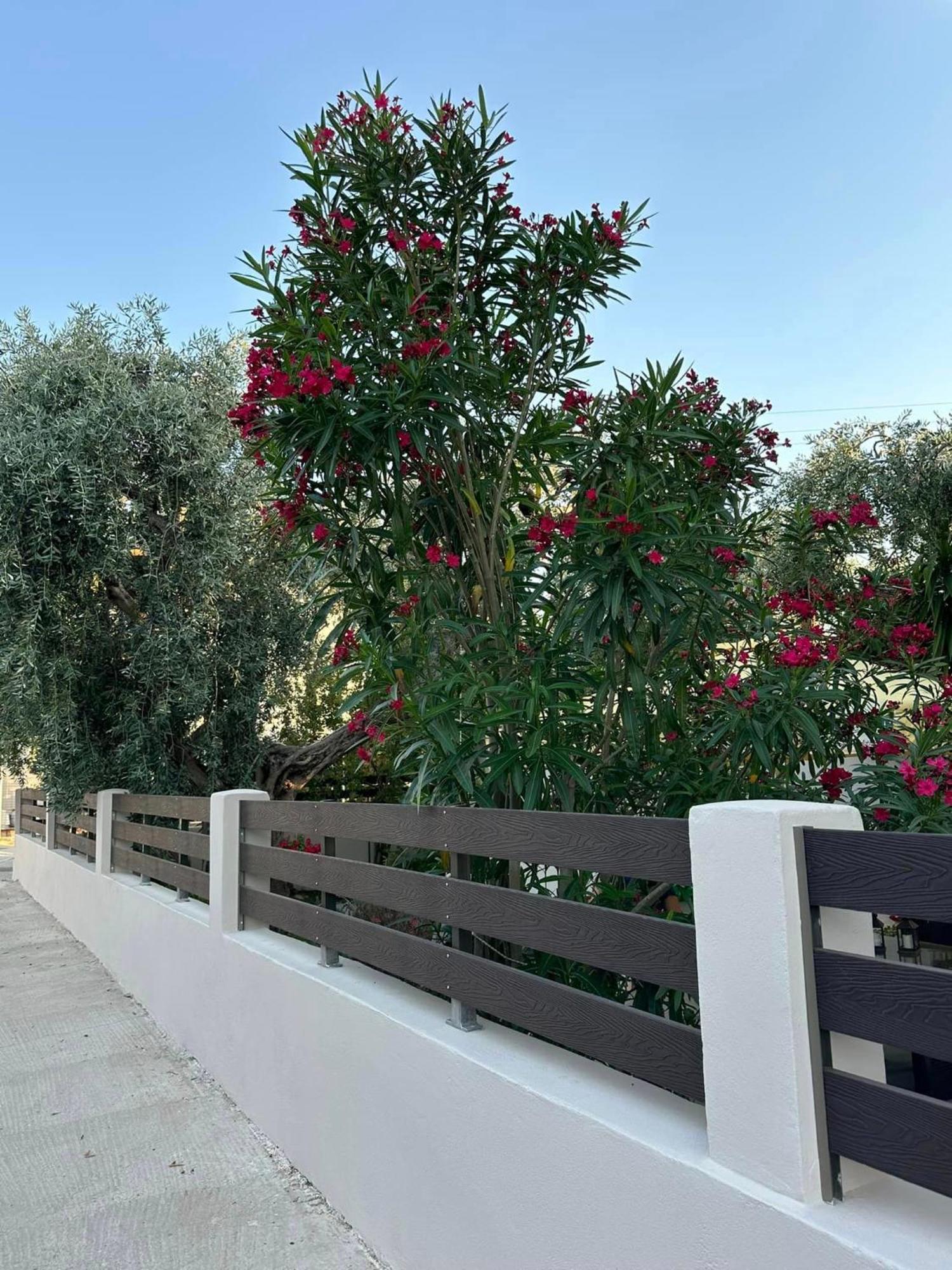 شقة Valia House Thassos Skála Kallirákhis المظهر الخارجي الصورة