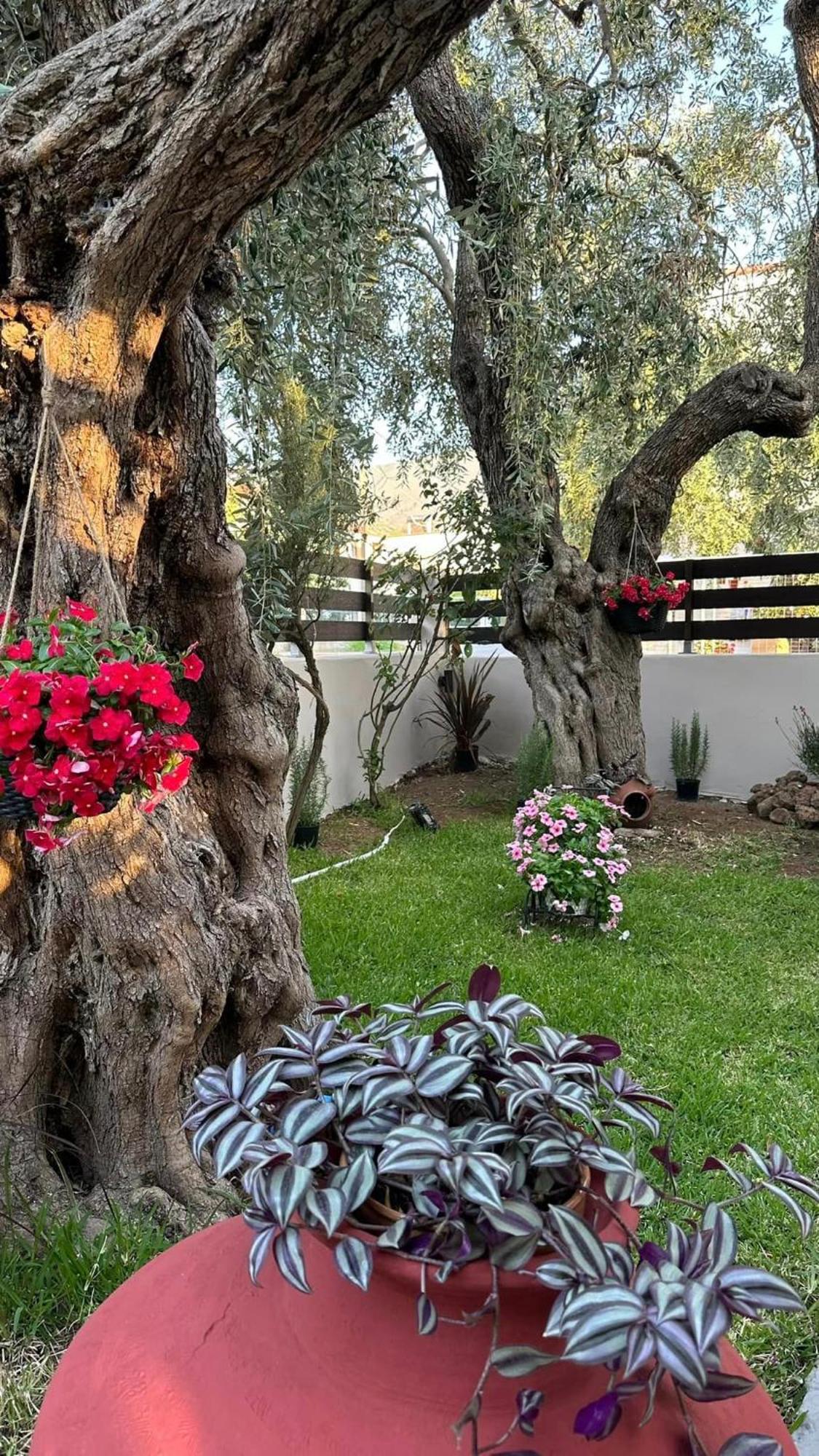شقة Valia House Thassos Skála Kallirákhis المظهر الخارجي الصورة