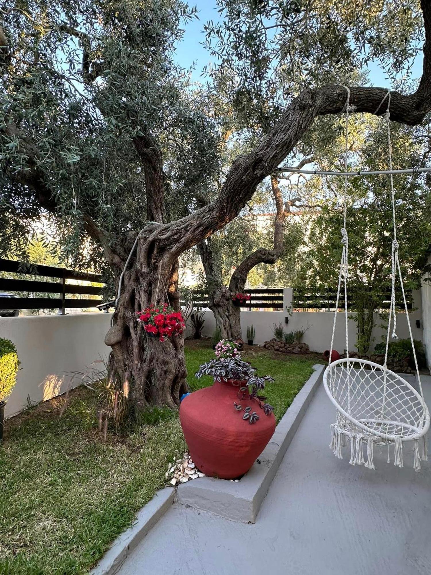 شقة Valia House Thassos Skála Kallirákhis المظهر الخارجي الصورة